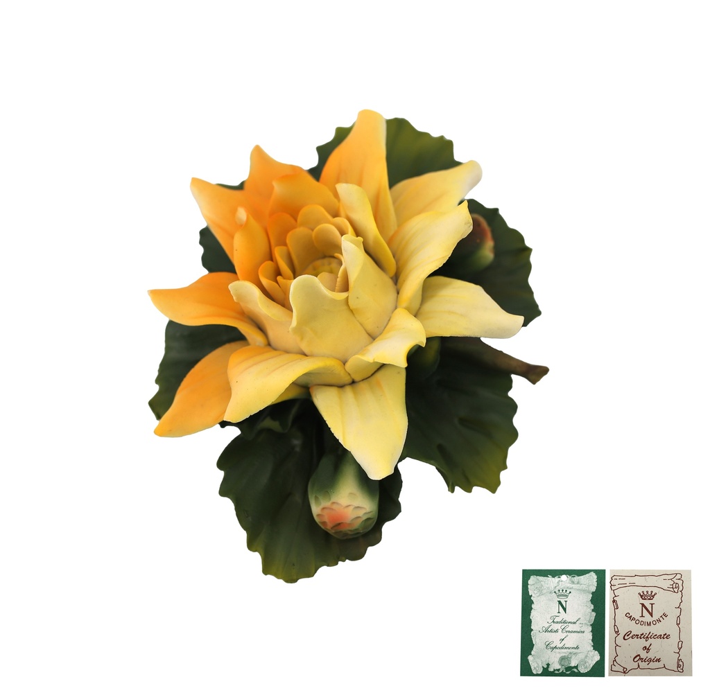 Capodimonte Porzellan XXL Seerose gelb 9x18cm