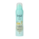 Fenjal Deospray 24h Schutz & Pflege 150ml Classic