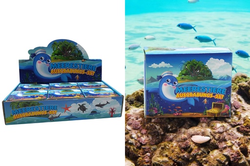 [P0001651] Ausgrabung Set "DIG IT" Meerestiere, 8,5x6,5x3cm, 12fach sortiert