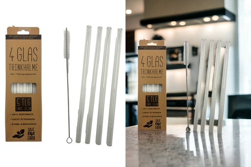 [P0001681] Trinkhalm Glas 20cm, 5tlg.